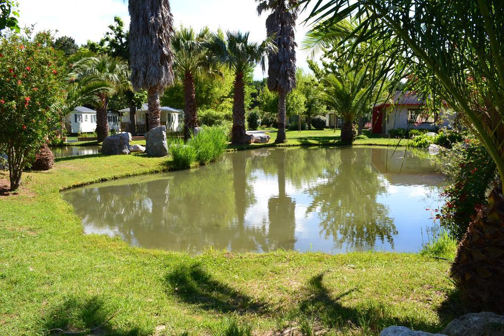 L'Hotel Du Mediterranee Argelès-sur-Mer Kültér fotó